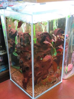 Elementka - akvárium - betárium - nanoakvárium - krevetárko - 10
