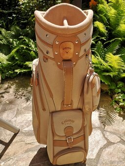 Prodám dámské golfové hole Lynx Tigress II - 10