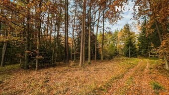 Prodej pozemek Lesy, 13718㎡ - 10