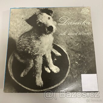 LP desky - 10