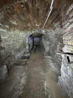 Prodej vinného sklepa - 10