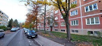 Pronájem bytu 2+1, M. Švabinského 616, Bílina - 10