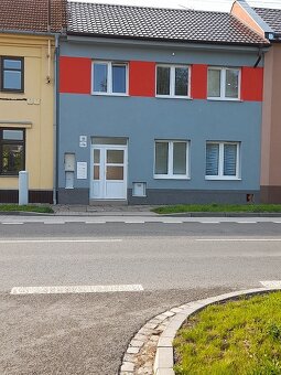 Byt 1+kk v přízemí, dvorek s možností posezení - bez RK - 10