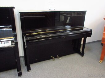 Steinway and Sons najvyššía prémiová kvalita - 10