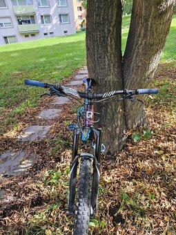 Qayron Carma MkII En 1f 27.5" - 10