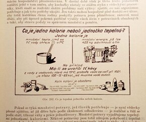 Starožitná Zlatá kniha pro praktickou hospodyňku, rok 1928 - 10