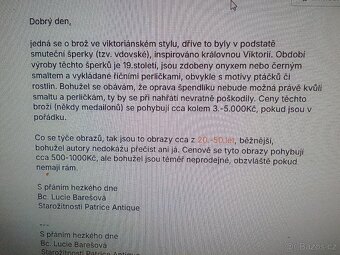 Stříbrná brož - 10