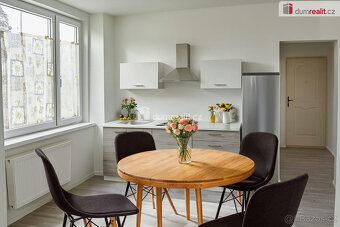 Prodej bytu 2+kk v osobním vlastnictví v cihlovém domě, Karl - 10