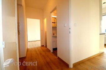 Pronájem bytu 2+1, 3x lodžie a sklep, 60m2, Neumannova, Brno - 10