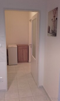 Pronájem zařízeného bytu 1+kk - 10