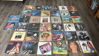 LP / Vinyl desky - velká sbírka (Punk , Rock ,atd) - 10