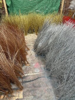 Vánoční Jmeli - 10