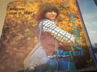 Hudební deska SP vinyl - 10