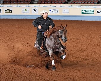 AQH hřebeček ze zahraničního spojení - 10