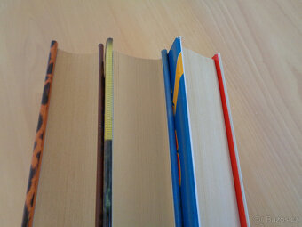 3 knihy od Jackie Collins - 10