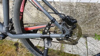 Cube Acid 29" - 10