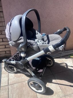 Bugaboo buffalo - 10
