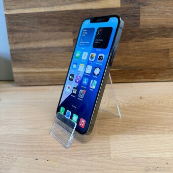 iPhone 12 Pro 128GB, šedý (12 měsíců záruka) - 10