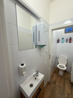 Ubytování Kutná Hora / Проживання в хостелі Кутна Гора - 10