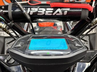 Dětská čtyřkolka Grizzly 125cc 3G8 - 10