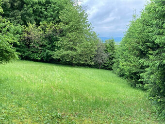 Šumava - Sušice pro výstavbu 2 chat pozemek na prodej - 10