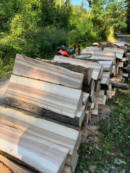 Prodej palivového dřeva-akce na dopravu - 10