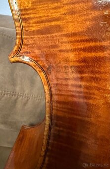 Krásné violončelo - 10