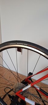 Wilier GTR TEAM - 10