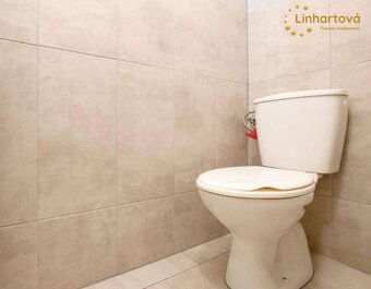 Pronájem bytu 1+1 38 m² Dlouhá, Aš - 10