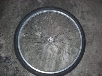 dily na liberta - 10