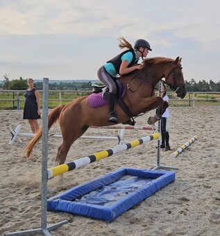 Pony B do sportu - 10