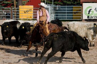 Roční klisna QH barvy Bay Roan - 10