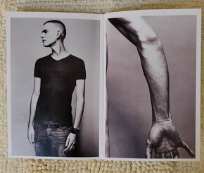 PLACEBO (ORIGINÁL DVD): ONCE MORE WITH FEELING - 10