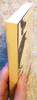 Zaklínač I (Sapkowski), Underground, Vlci (Kotleta) - 10