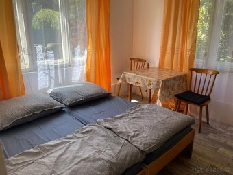 Pronájem RD Černá za Bory - 10