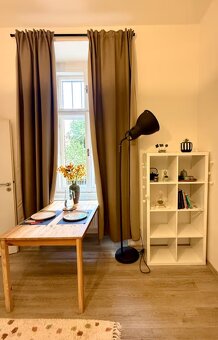 Pronájem bytu 1+KK - Karlin - 10
