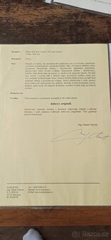 Odznak pro piloty kluzáků. - 10