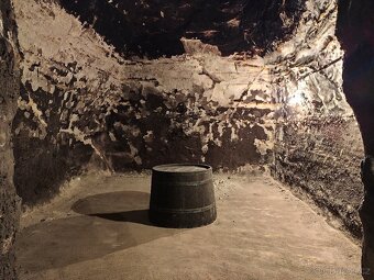 Pronájem, vinný sklep s lisovnou, Nový Šaldorf - 10