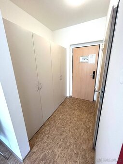 krásný byt 1+kk 27m2 v ul. Křížová, Praha - Smíchov - 10