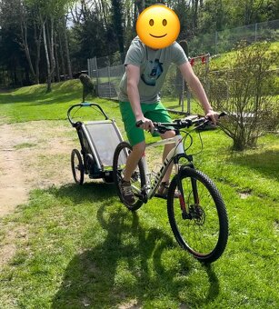 Thule Chariot Sport 1 zelenomodrý - 10