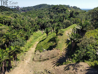 Falcon Valley Lot#3 Santos Guardiola, Roatan - 10