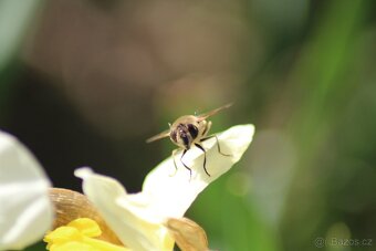 Fotoaparát Canon EOS 1200D a objektiv Tamron AF70-300mm - 10