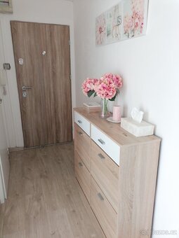 Pronájem bytu 3+1 - 10