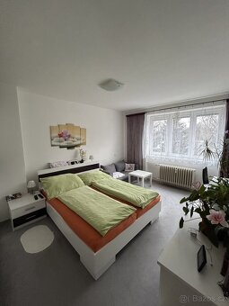 Pronájem zděného bytu 2+1 v OV, Svitavy - 10