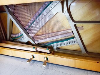 August Forster mod.116-Dovoz po ČR zdarma  24/7 - 10