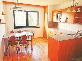 Prodej rodinného domu a stavebních pozemků v Zásadě - 10