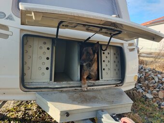 Karavan s vestavbou pro dva psy - 10