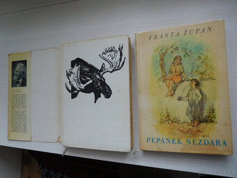 Knihy pro děti a mládež - 10