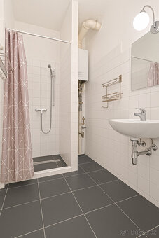 Prodej bytu 3+kk, Stará, Zábrdovice, 70 m2 - 10
