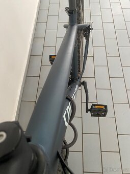 Panske kolo 29 Specialized - 10